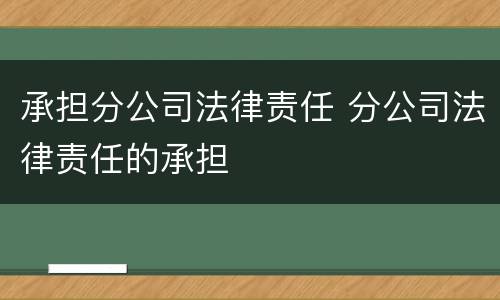 承担分公司法律责任 分公司法律责任的承担
