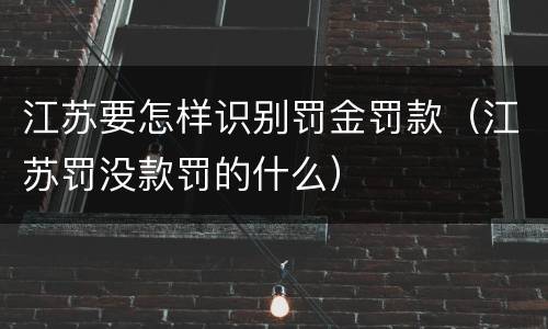 江苏要怎样识别罚金罚款（江苏罚没款罚的什么）