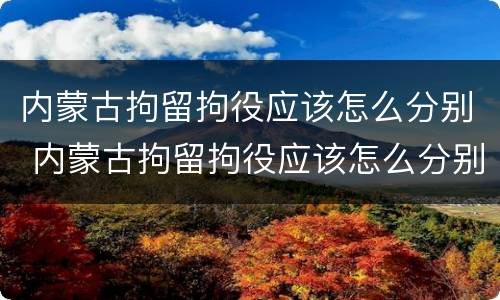 内蒙古拘留拘役应该怎么分别 内蒙古拘留拘役应该怎么分别判刑