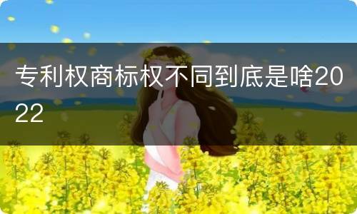 专利权商标权不同到底是啥2022