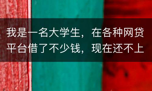 我是一名大学生，在各种网贷平台借了不少钱，现在还不上，如果不还会怎么样