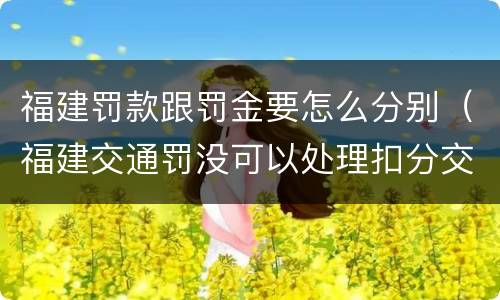 福建罚款跟罚金要怎么分别（福建交通罚没可以处理扣分交罚款吗）