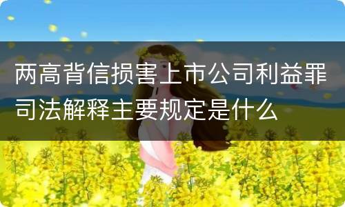 两高背信损害上市公司利益罪司法解释主要规定是什么
