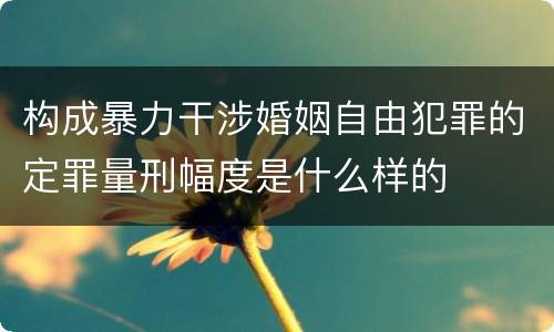构成暴力干涉婚姻自由犯罪的定罪量刑幅度是什么样的