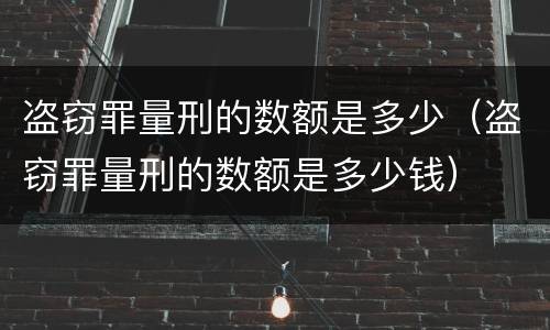 盗窃罪量刑的数额是多少（盗窃罪量刑的数额是多少钱）