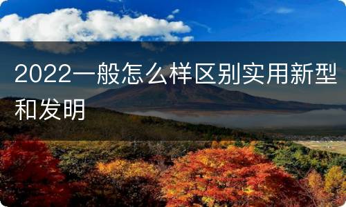 2022一般怎么样区别实用新型和发明