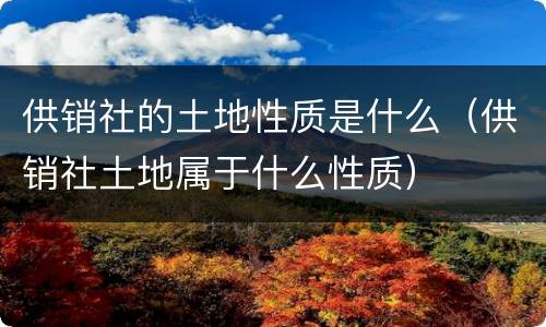 供销社的土地性质是什么（供销社土地属于什么性质）