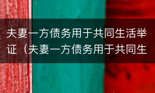 夫妻一方债务用于共同生活举证（夫妻一方债务用于共同生活举证责任吗）