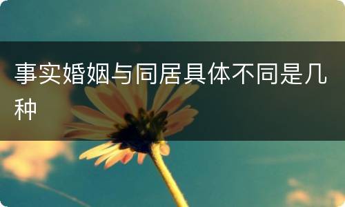 事实婚姻与同居具体不同是几种
