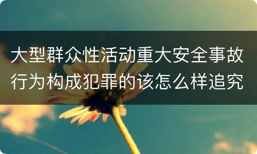 大型群众性活动重大安全事故行为构成犯罪的该怎么样追究责任