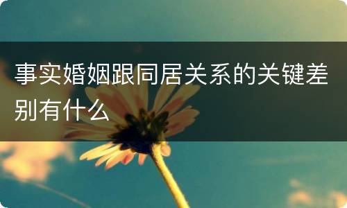 事实婚姻跟同居关系的关键差别有什么