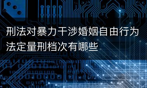 刑法对暴力干涉婚姻自由行为法定量刑档次有哪些