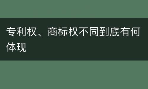 专利权、商标权不同到底有何体现