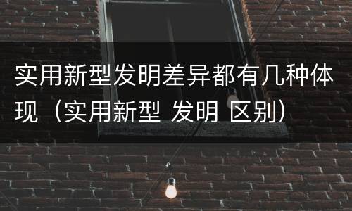 实用新型发明差异都有几种体现（实用新型 发明 区别）