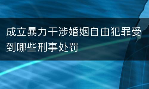 成立暴力干涉婚姻自由犯罪受到哪些刑事处罚