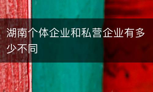 湖南个体企业和私营企业有多少不同