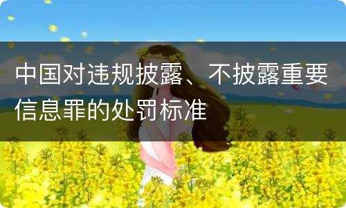 中国对违规披露、不披露重要信息罪的处罚标准