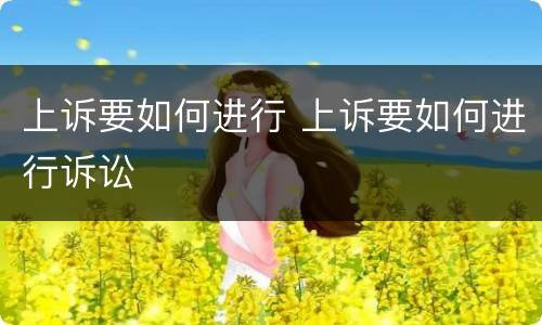 上诉要如何进行 上诉要如何进行诉讼