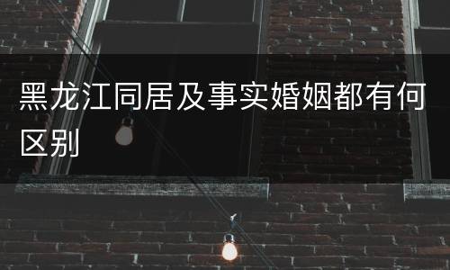 黑龙江同居及事实婚姻都有何区别