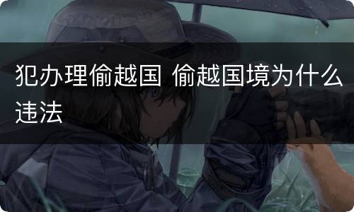 犯办理偷越国 偷越国境为什么违法