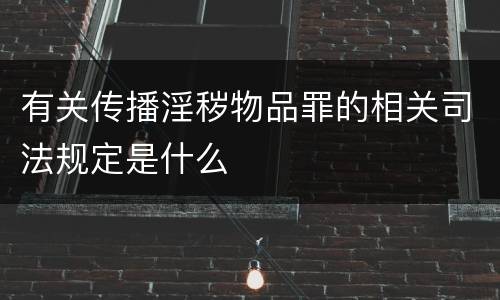 有关传播淫秽物品罪的相关司法规定是什么