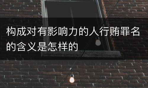 构成对有影响力的人行贿罪名的含义是怎样的