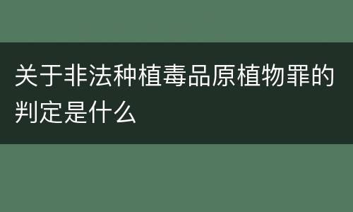 关于非法种植毒品原植物罪的判定是什么