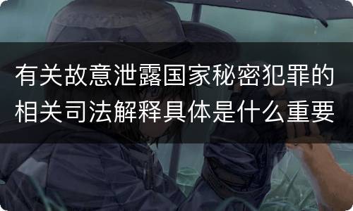 有关故意泄露国家秘密犯罪的相关司法解释具体是什么重要规定