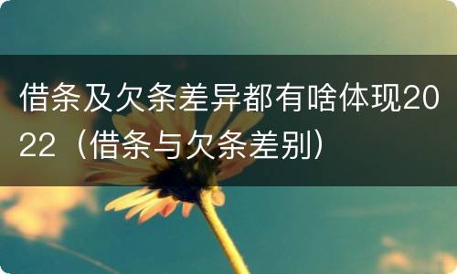 借条及欠条差异都有啥体现2022（借条与欠条差别）