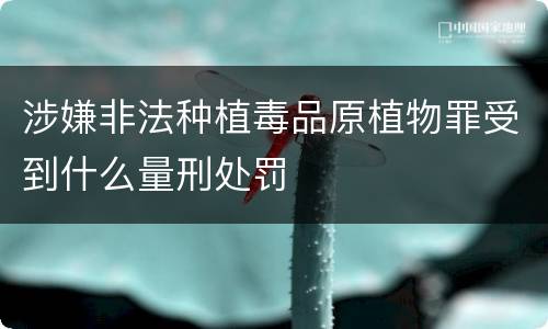 涉嫌非法种植毒品原植物罪受到什么量刑处罚