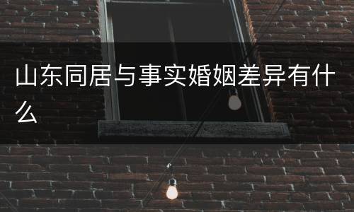 山东同居与事实婚姻差异有什么