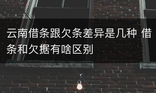 云南借条跟欠条差异是几种 借条和欠据有啥区别