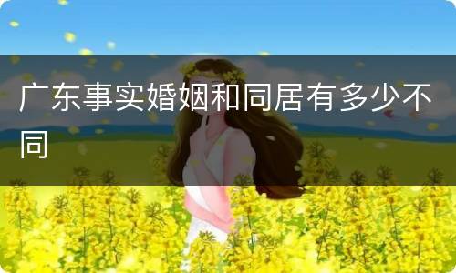 广东事实婚姻和同居有多少不同
