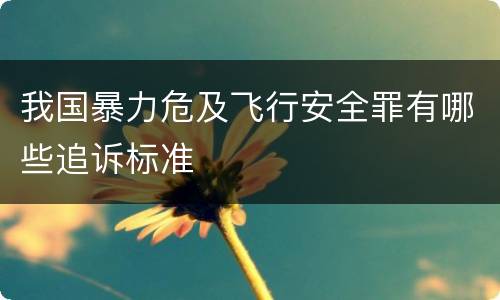 我国暴力危及飞行安全罪有哪些追诉标准