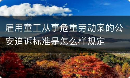 雇用童工从事危重劳动案的公安追诉标准是怎么样规定