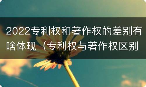 2022专利权和著作权的差别有啥体现（专利权与著作权区别）