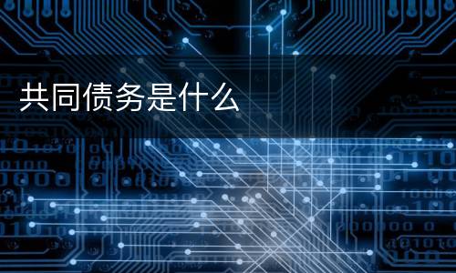 共同债务是什么