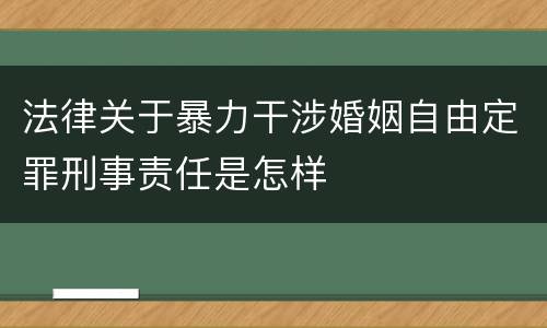法律关于暴力干涉婚姻自由定罪刑事责任是怎样