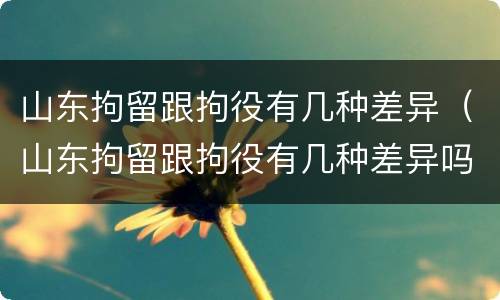 山东拘留跟拘役有几种差异（山东拘留跟拘役有几种差异吗）