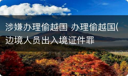 涉嫌办理偷越国 办理偷越国(边境人员出入境证件罪
