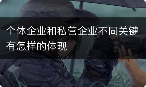 个体企业和私营企业不同关键有怎样的体现