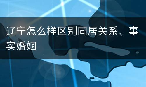 辽宁怎么样区别同居关系、事实婚姻