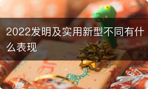 2022发明及实用新型不同有什么表现