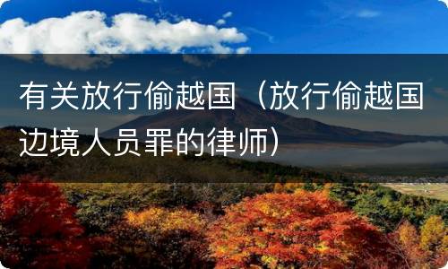 有关放行偷越国（放行偷越国边境人员罪的律师）