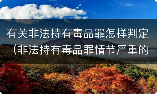 有关非法持有毒品罪怎样判定（非法持有毒品罪情节严重的认定）