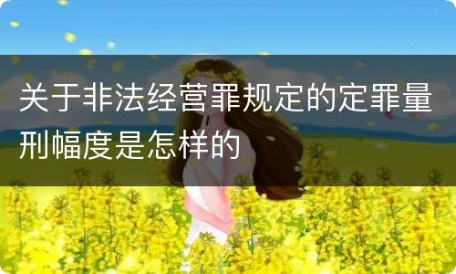 关于非法经营罪规定的定罪量刑幅度是怎样的