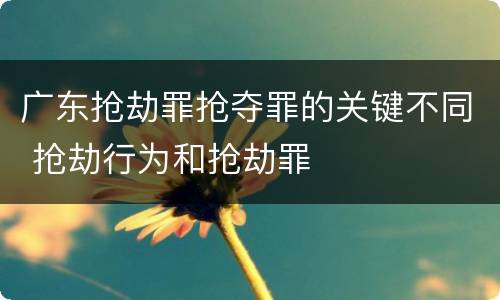 广东抢劫罪抢夺罪的关键不同 抢劫行为和抢劫罪
