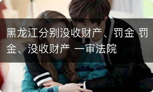 黑龙江分别没收财产、罚金 罚金、没收财产 一审法院