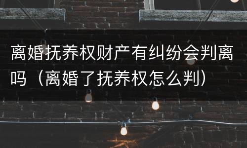 离婚抚养权财产有纠纷会判离吗（离婚了抚养权怎么判）