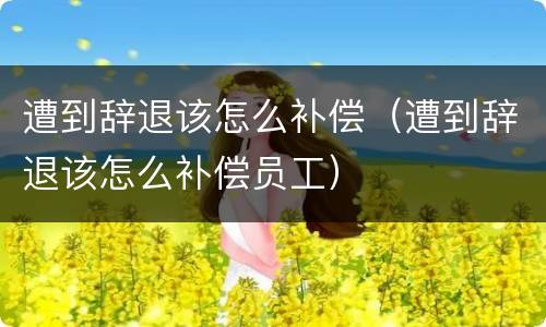 遭到辞退该怎么补偿（遭到辞退该怎么补偿员工）